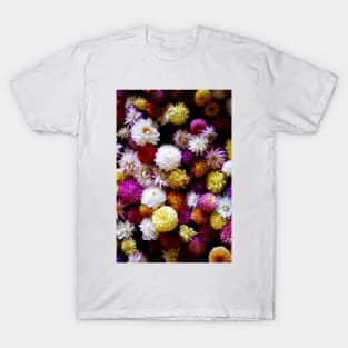 Dahlia Explosion! T-Shirt